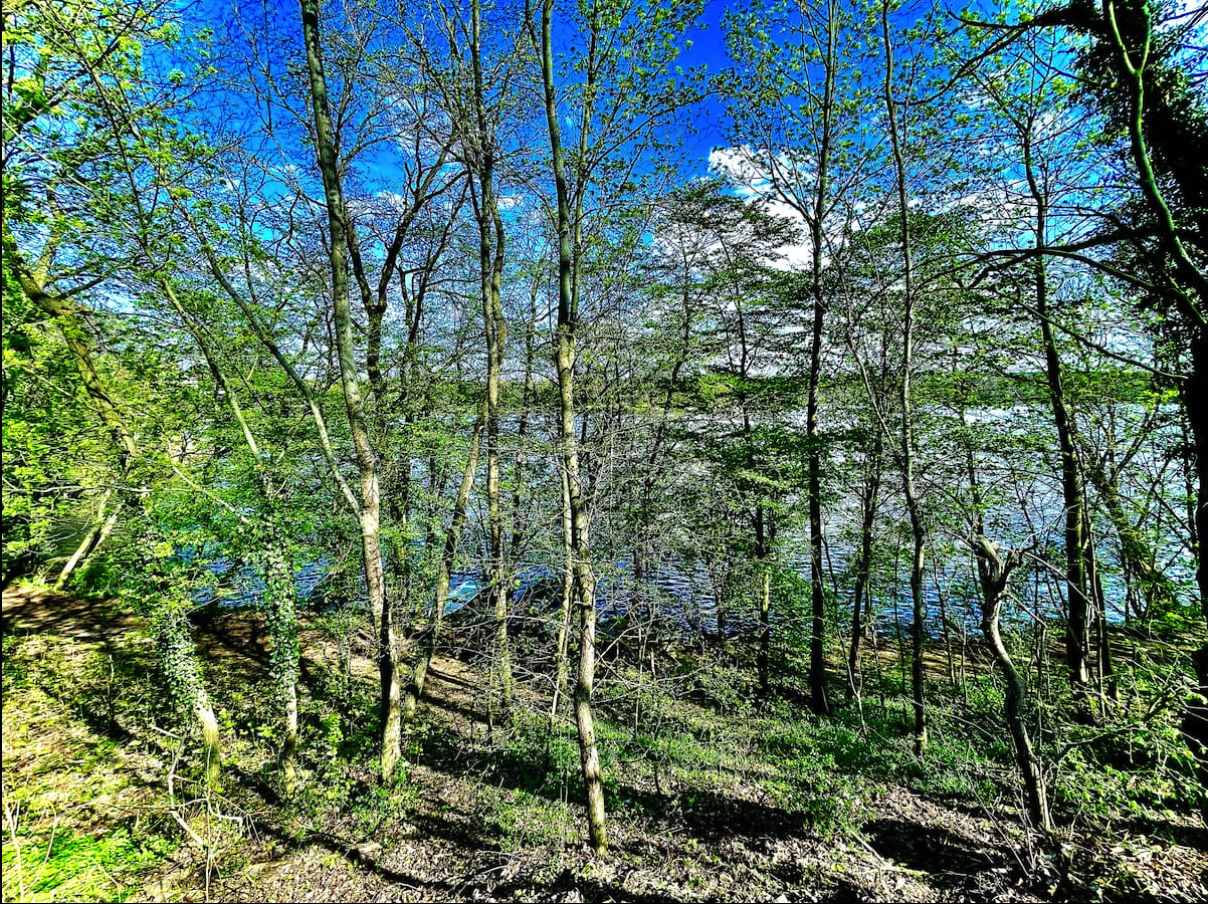 Bildschirmfoto 2025-07-09 um 22.20.38.png