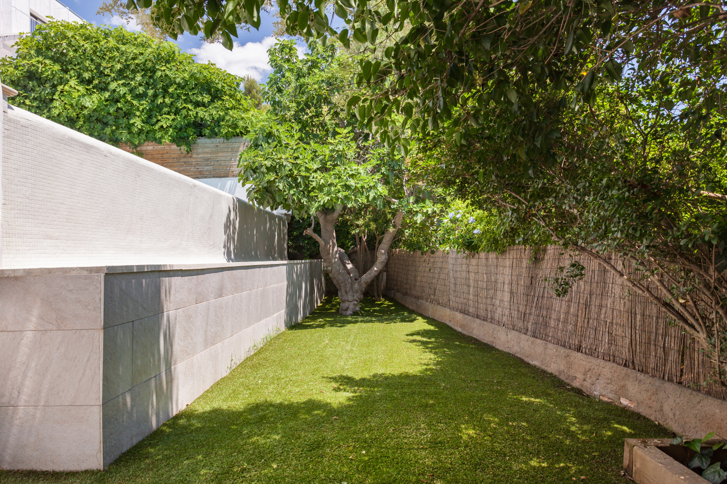 Toni Coll - Castelldefels - Av 342 2 - L - 03.jpg