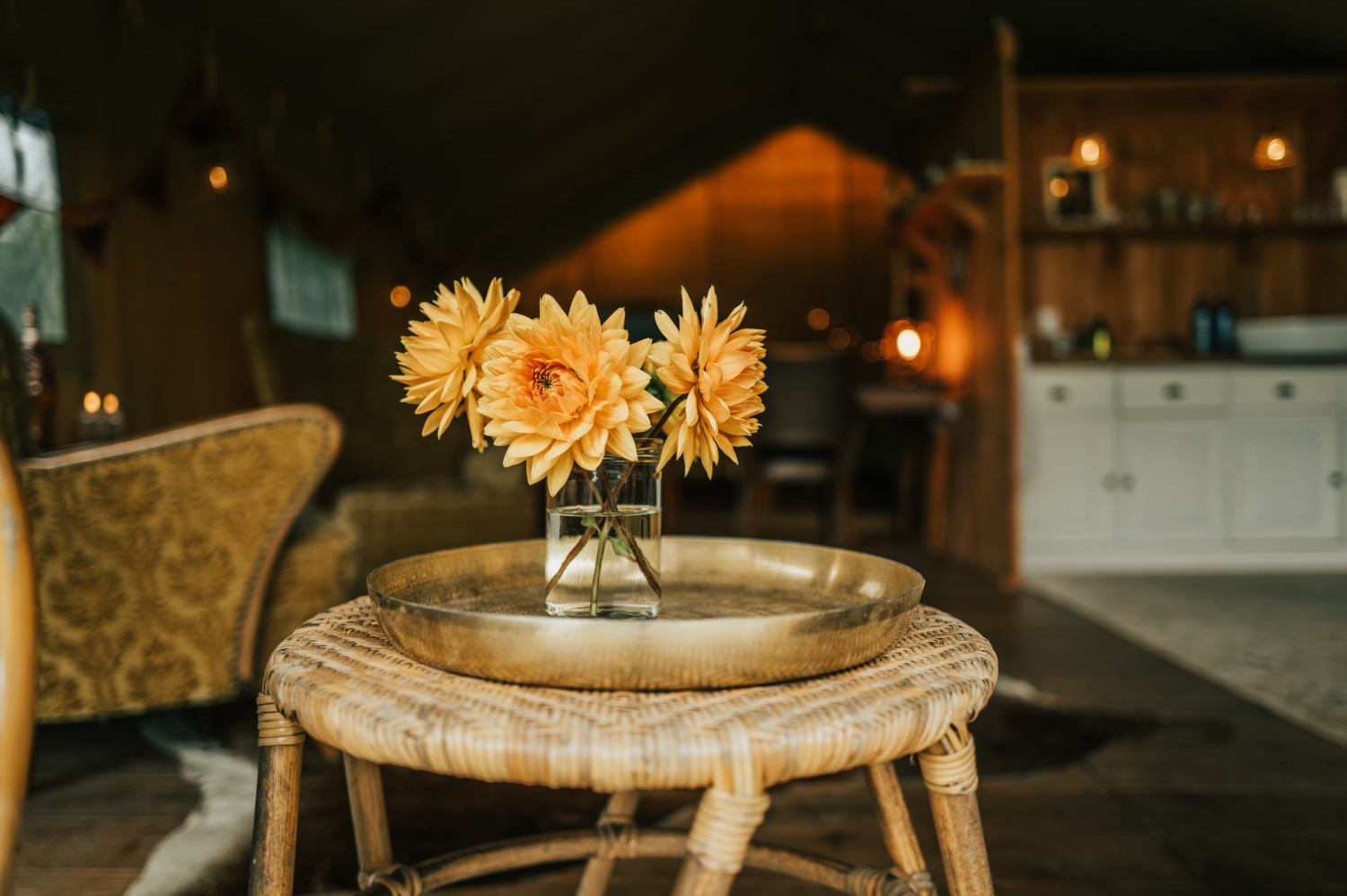 Thebrandwagon-8October 08, 2024163820.jpg