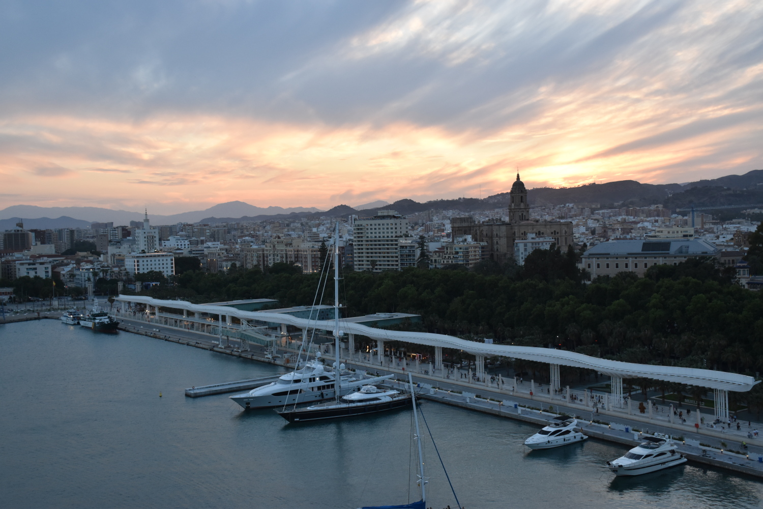 2023-06-11 20.31.16.jpg