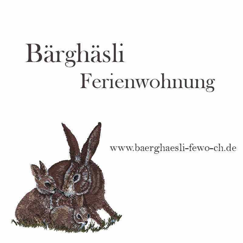 (c) Baerghaesli-fewo-ch.de